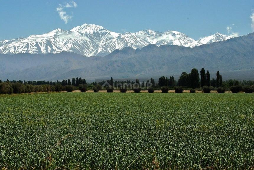 Terreno en Venta en Lujan de Cuyo, Mendoza