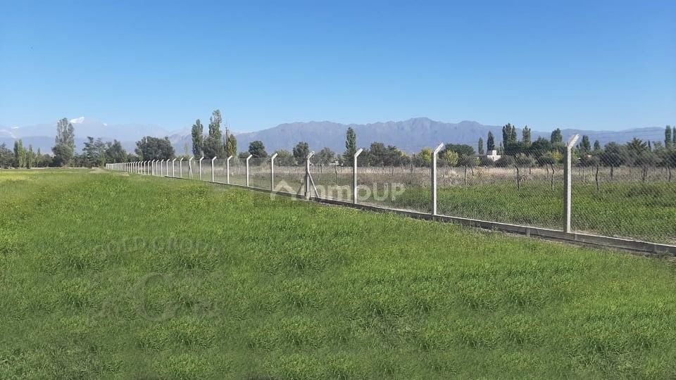 Terreno en Venta en Lujan de Cuyo, Mendoza