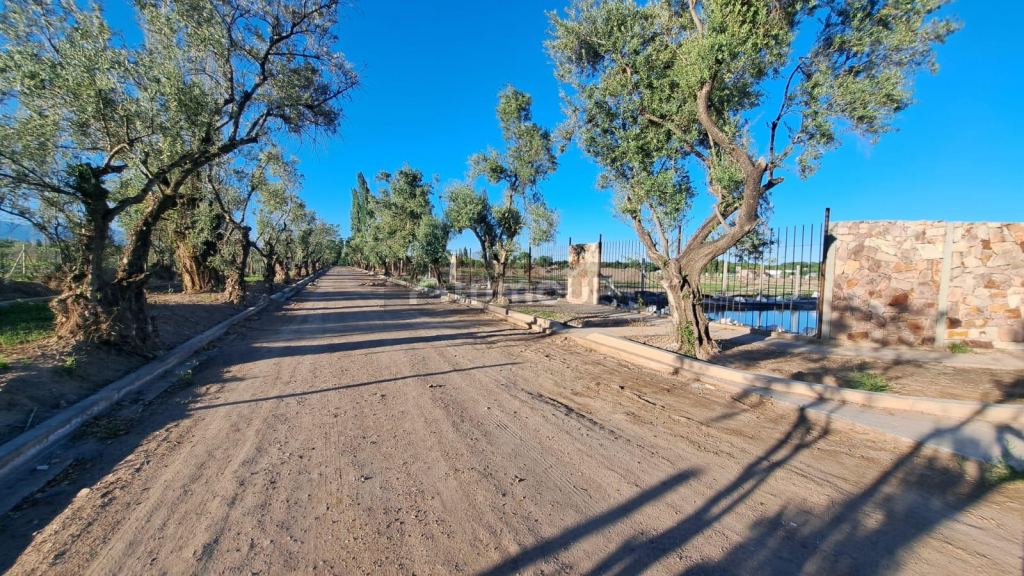 Terreno en Venta en Lujan de Cuyo, Mendoza
