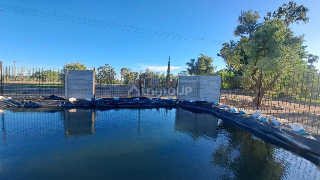 Terreno en Venta en Lujan de Cuyo, Mendoza