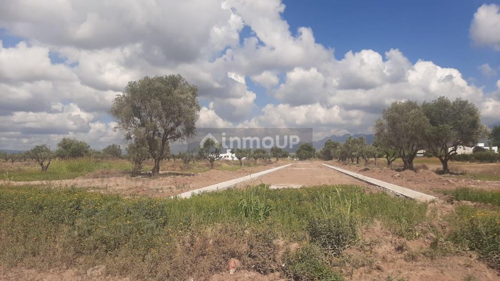 Terreno en Venta en Lujan de Cuyo, Mendoza