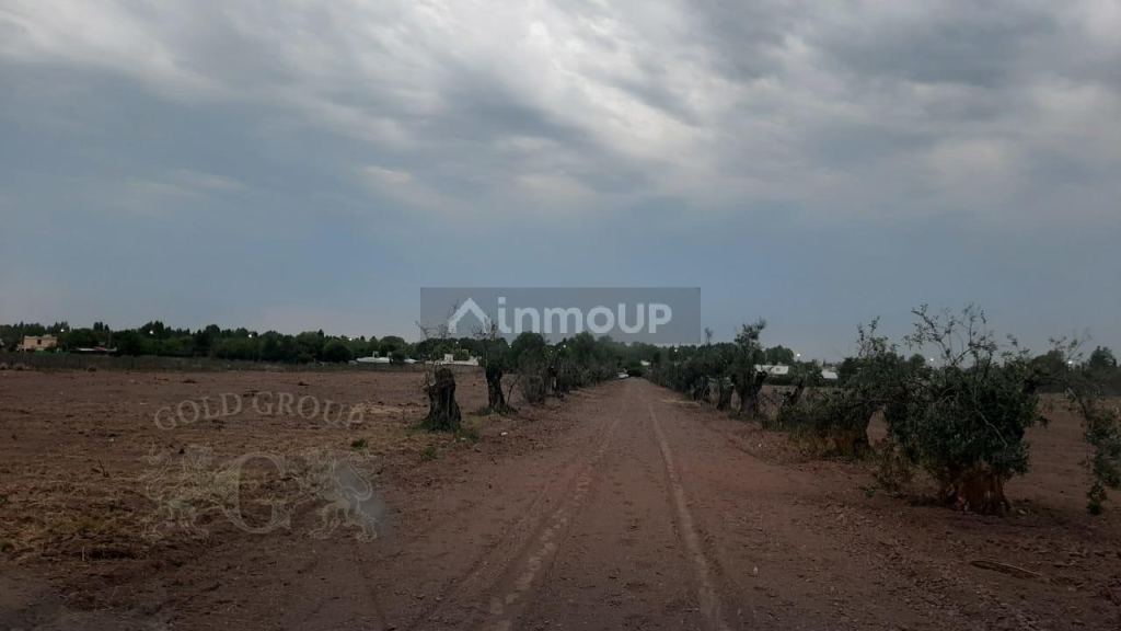 Terreno en Venta en Lujan de Cuyo, Mendoza