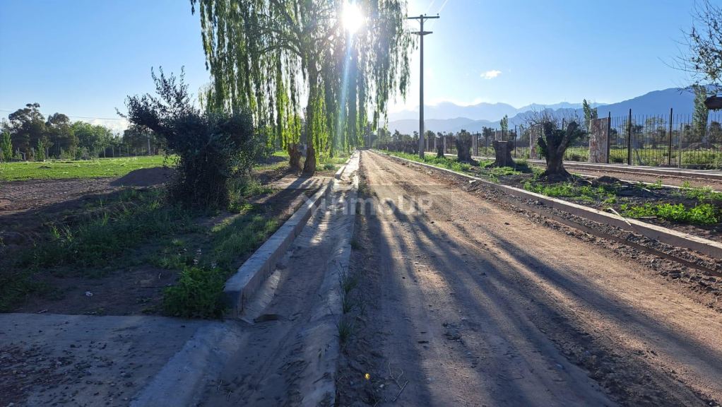 Terreno en Venta en Lujan de Cuyo, Mendoza