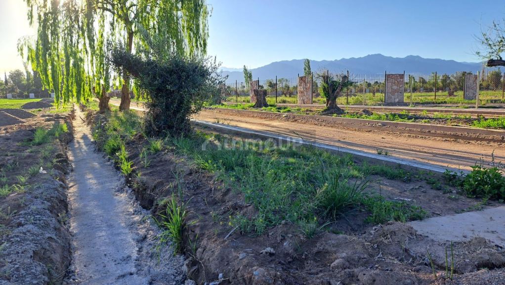 Terreno en Venta en Lujan de Cuyo, Mendoza