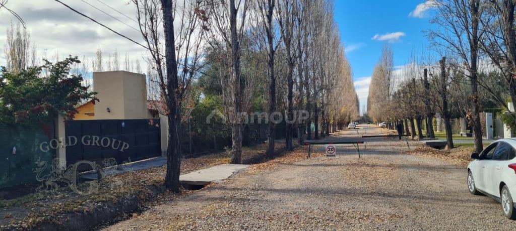 Lote en Venta en Lujan de Cuyo, Mendoza
