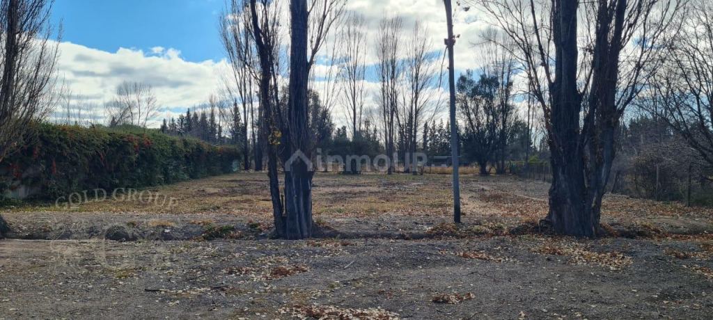 Lote en Venta en Lujan de Cuyo, Mendoza