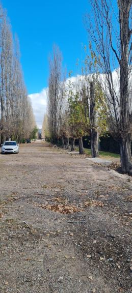 Lote en Venta en Lujan de Cuyo, Mendoza