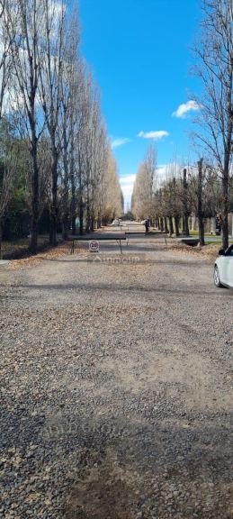 Lote en Venta en Lujan de Cuyo, Mendoza