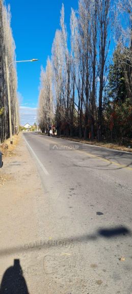 Lote en Venta en Lujan de Cuyo, Mendoza