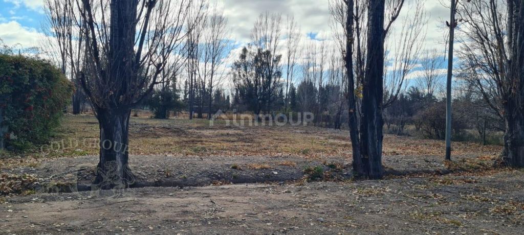 Lote en Venta en Lujan de Cuyo, Mendoza