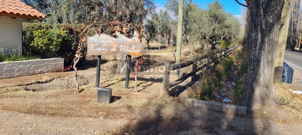 Lote en Venta en Lujan de Cuyo, Mendoza