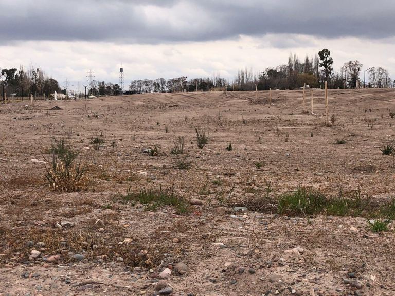 Lote en Venta en Lujan de Cuyo, Mendoza