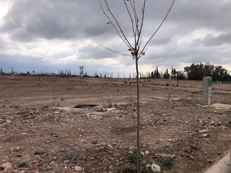 Lote en Venta en Lujan de Cuyo, Mendoza