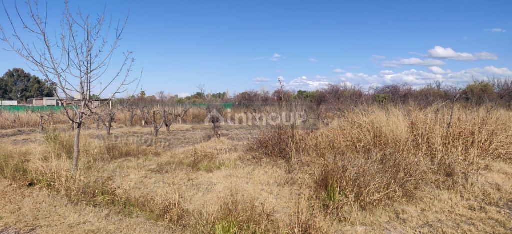 Lote en Venta en Maipu, Mendoza
