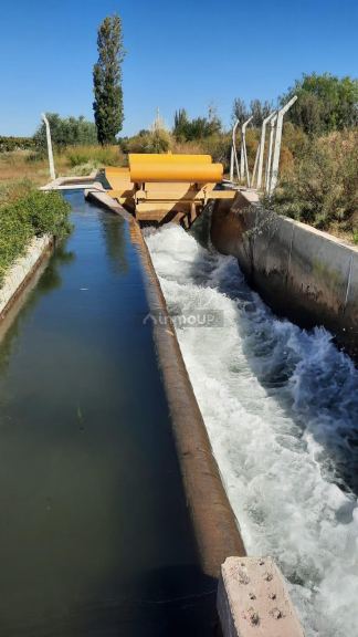 Viñedo en Venta en Junin, Mendoza