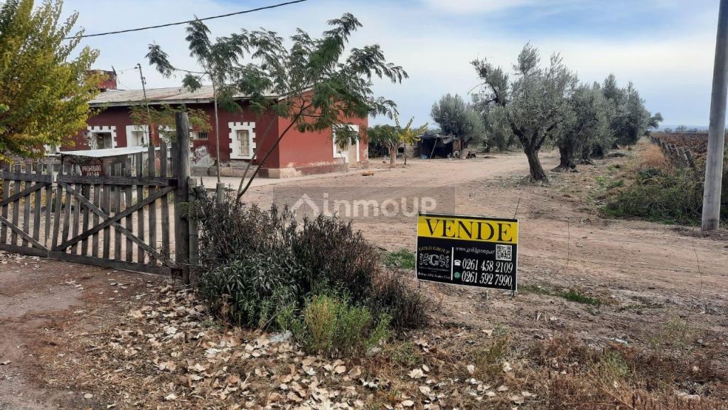 Viñedo en Venta en Junin, Mendoza