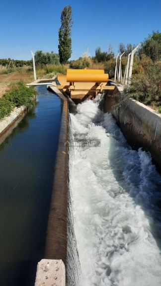 Viñedo en Venta en Junin, Mendoza
