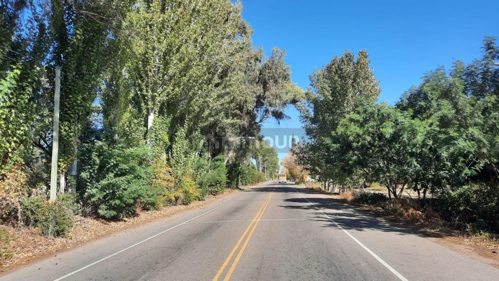 Viñedo en Venta en Junin, Mendoza