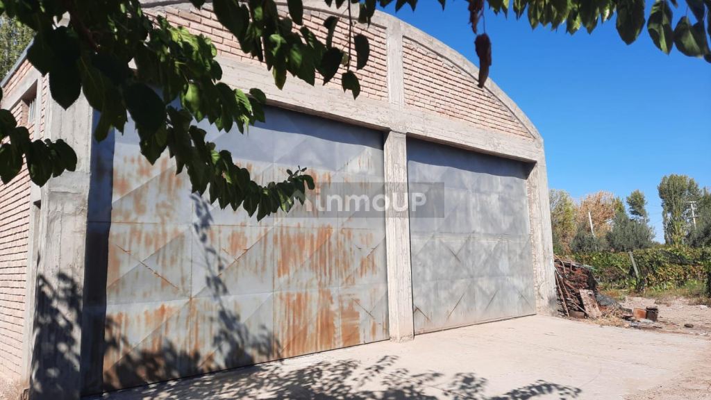 Viñedo en Venta en Junin, Mendoza