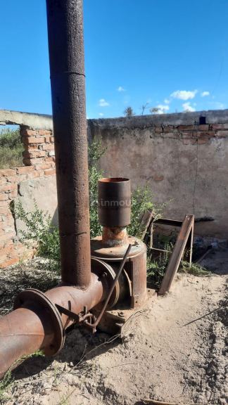 Viñedo en Venta en Junin, Mendoza