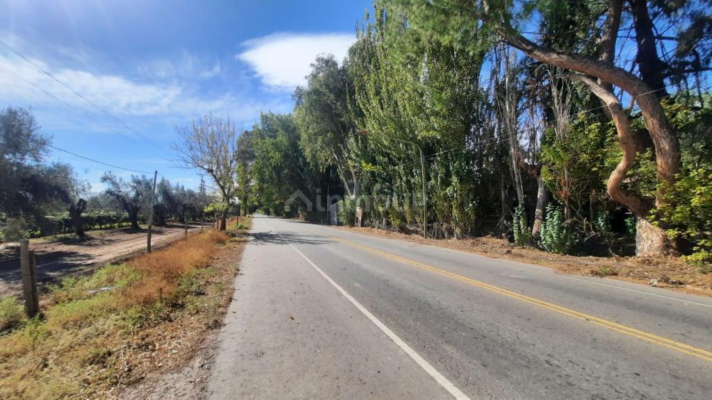 Viñedo en Venta en Junin, Mendoza
