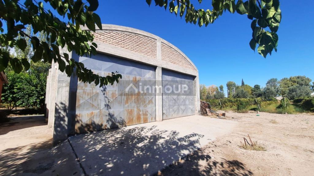 Viñedo en Venta en Junin, Mendoza