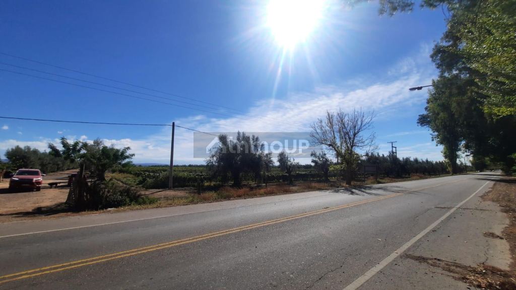 Viñedo en Venta en Junin, Mendoza