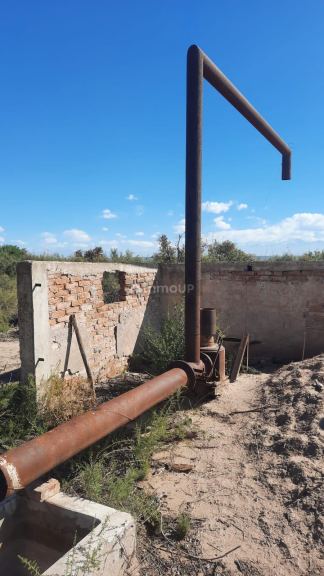Viñedo en Venta en Junin, Mendoza