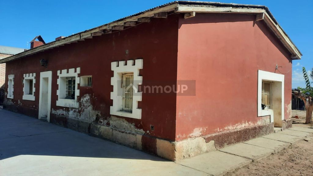 Viñedo en Venta en Junin, Mendoza
