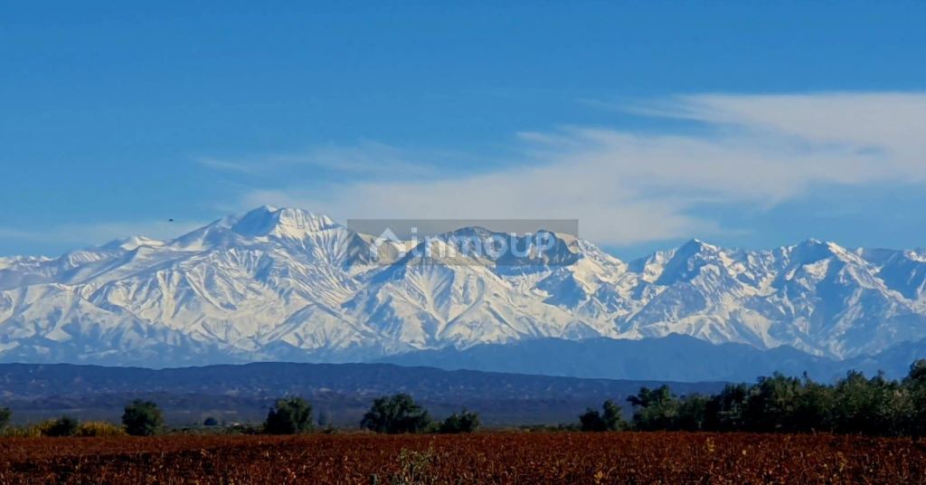 Viñedo en Venta en Junin, Mendoza