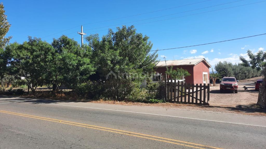 Viñedo en Venta en Junin, Mendoza