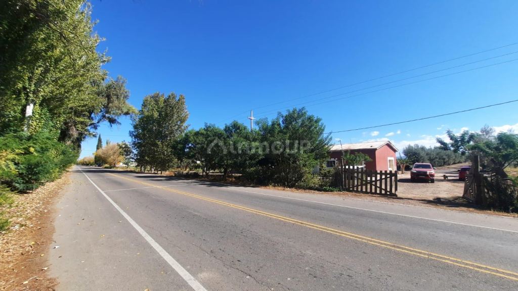 Viñedo en Venta en Junin, Mendoza