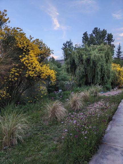 Fondo de Comercio en Venta en Lujan de Cuyo, Mendoza