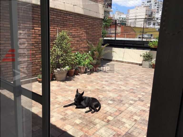 Departamento en Venta en Villa Urquiza, Capital Federal