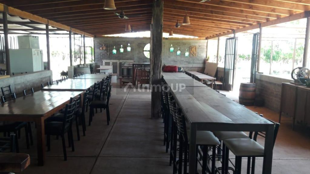 Casa Quinta en Venta en Las Heras, Mendoza