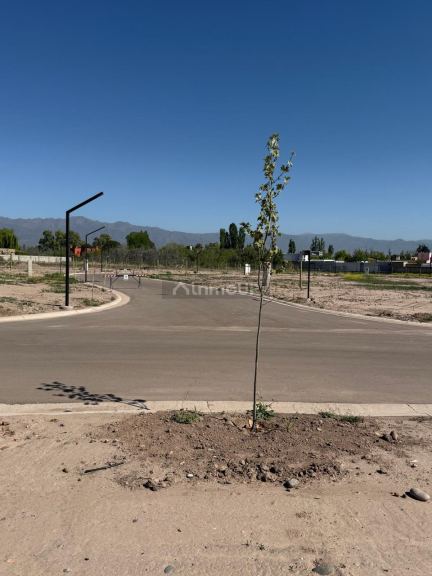 Lote en Venta en Lujan de Cuyo, Mendoza