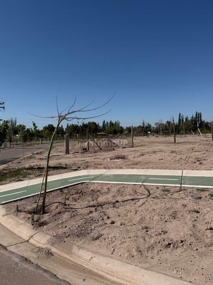 Lote en Venta en Lujan de Cuyo, Mendoza