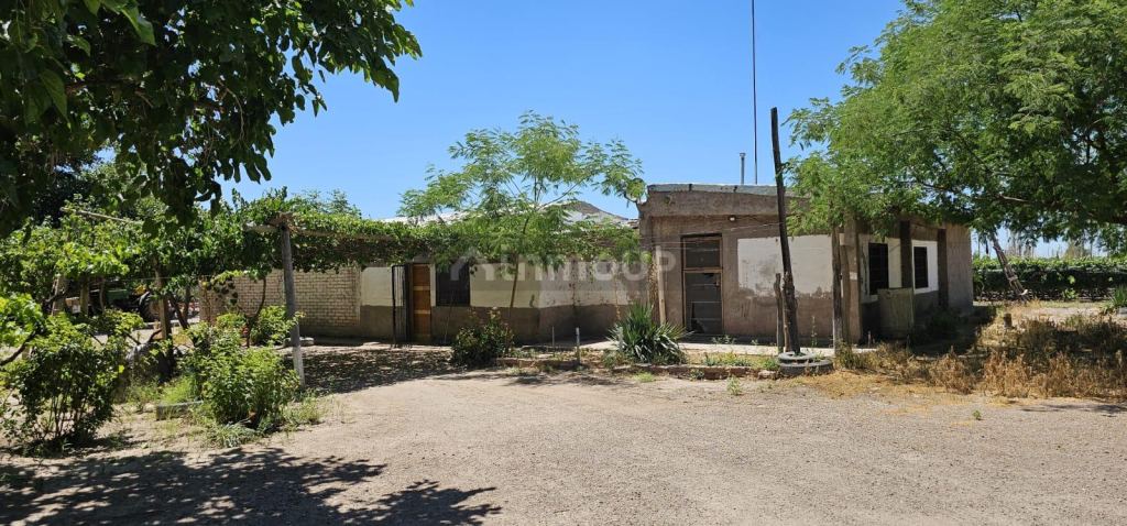 Finca en Venta en Junin, Mendoza