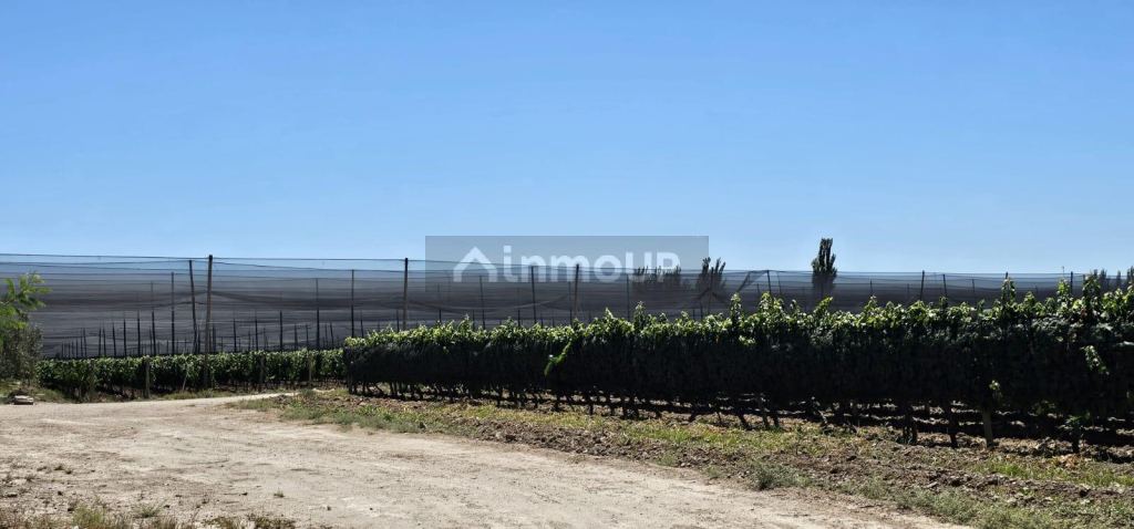 Finca en Venta en Junin, Mendoza