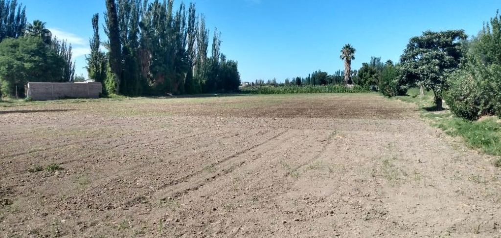 Finca en Venta en Guaymallen, Mendoza