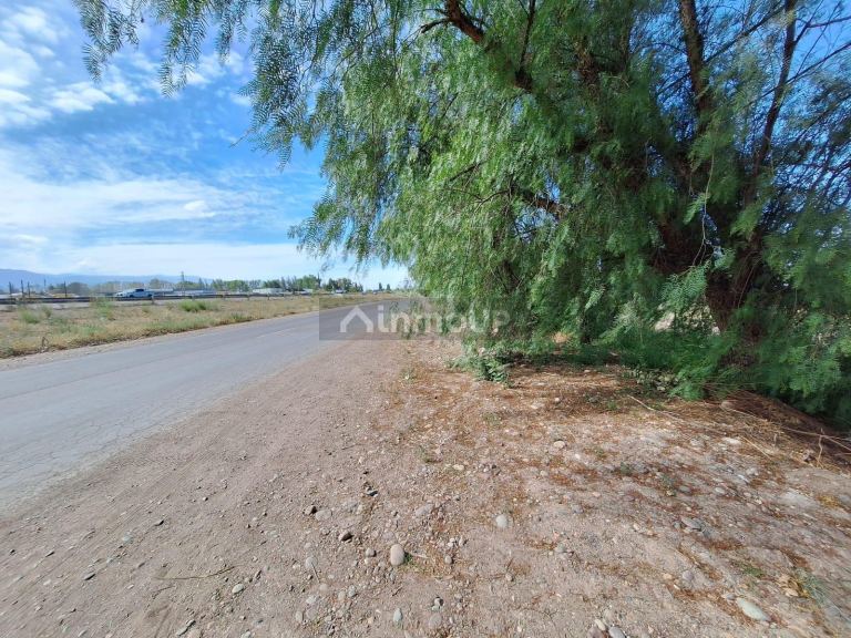 Lote en Venta en Lujan de Cuyo, Mendoza