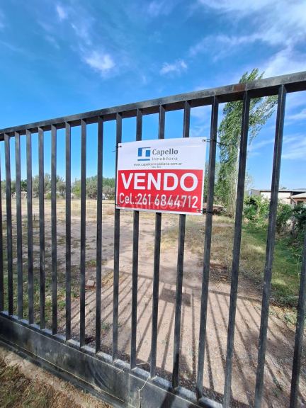 Lote en Venta en Lujan de Cuyo, Mendoza
