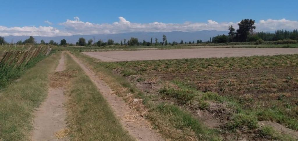 Finca en Venta en Guaymallen, Mendoza