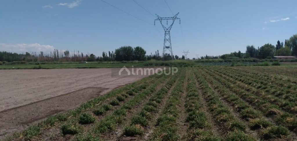 Finca en Venta en Guaymallen, Mendoza