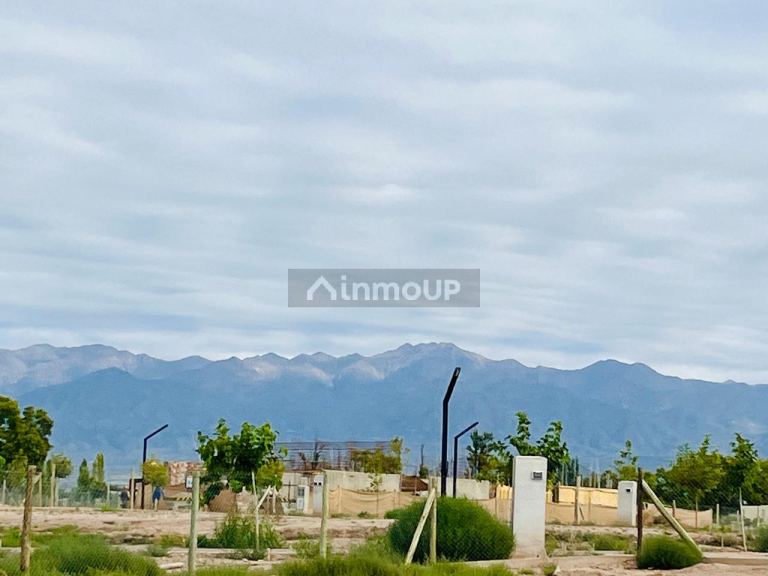 Lote en Venta en Lujan de Cuyo, Mendoza
