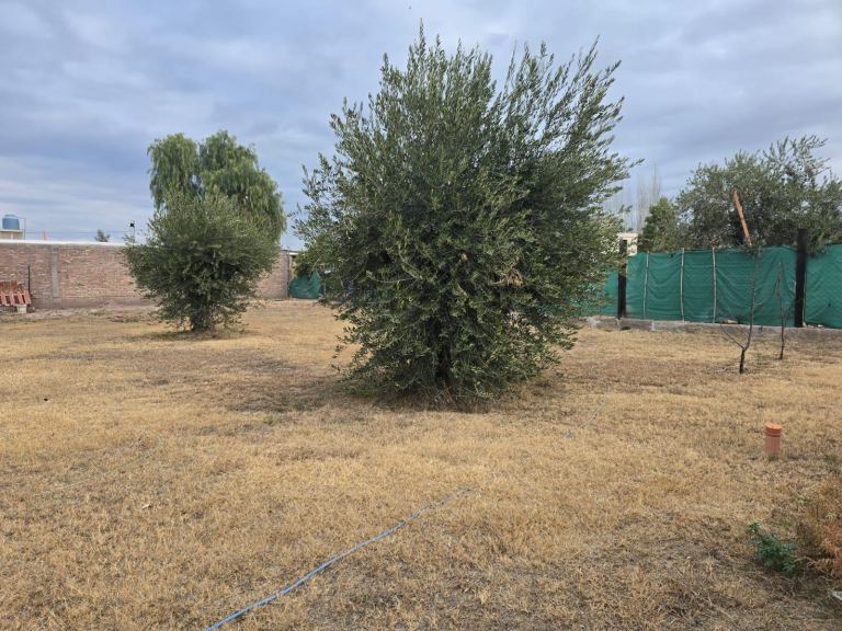 Lote en Venta en Maipu, Mendoza
