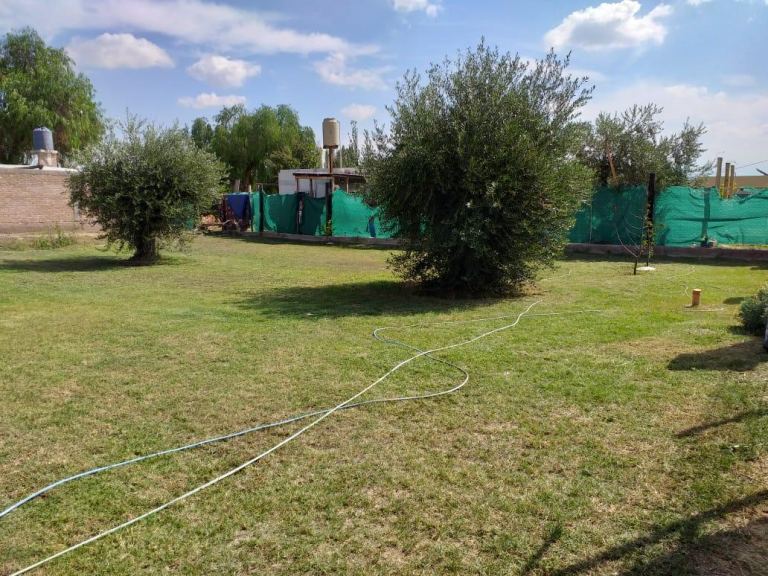 Lote en Venta en Maipu, Mendoza