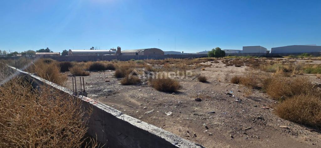 Terreno en Venta en Maipu, Mendoza
