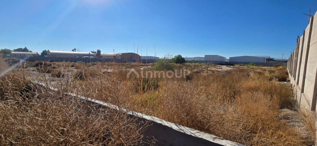 Terreno en Venta en Maipu, Mendoza