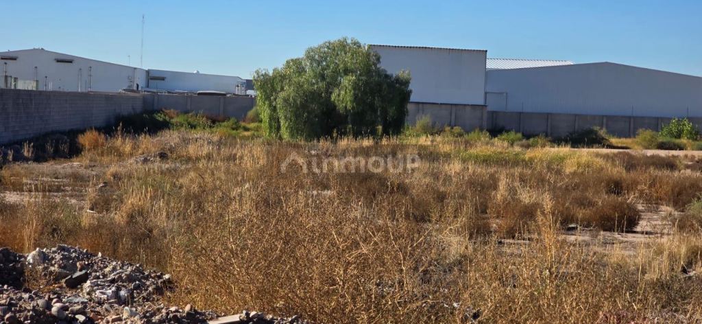 Terreno en Venta en Maipu, Mendoza